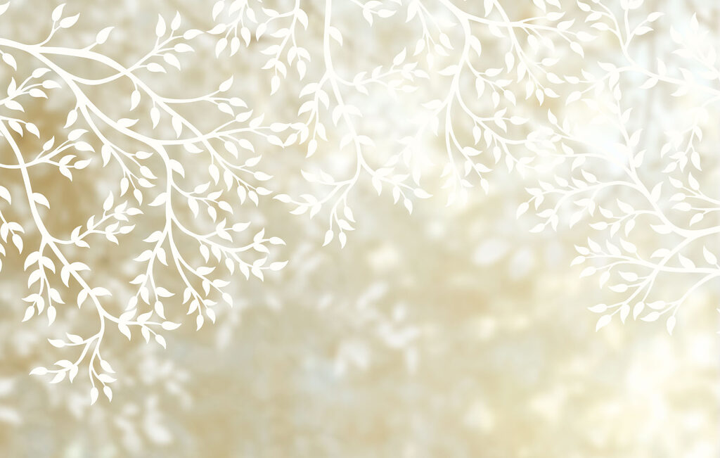 Folhas brancas na luz — design completo
