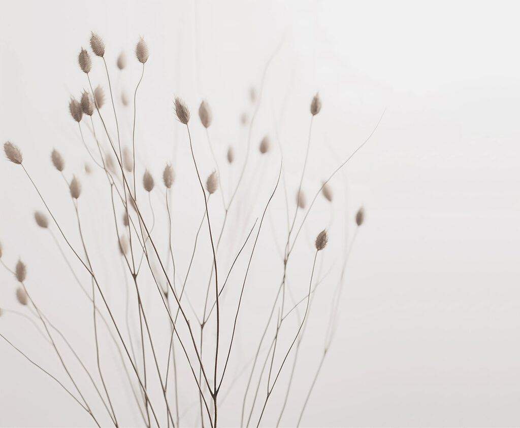 Gramíneas finas com sementes — design completo