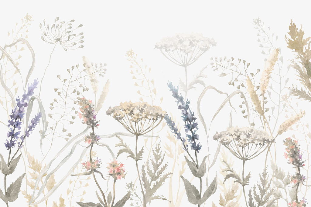 Plantas silvestres delicadas — design completo