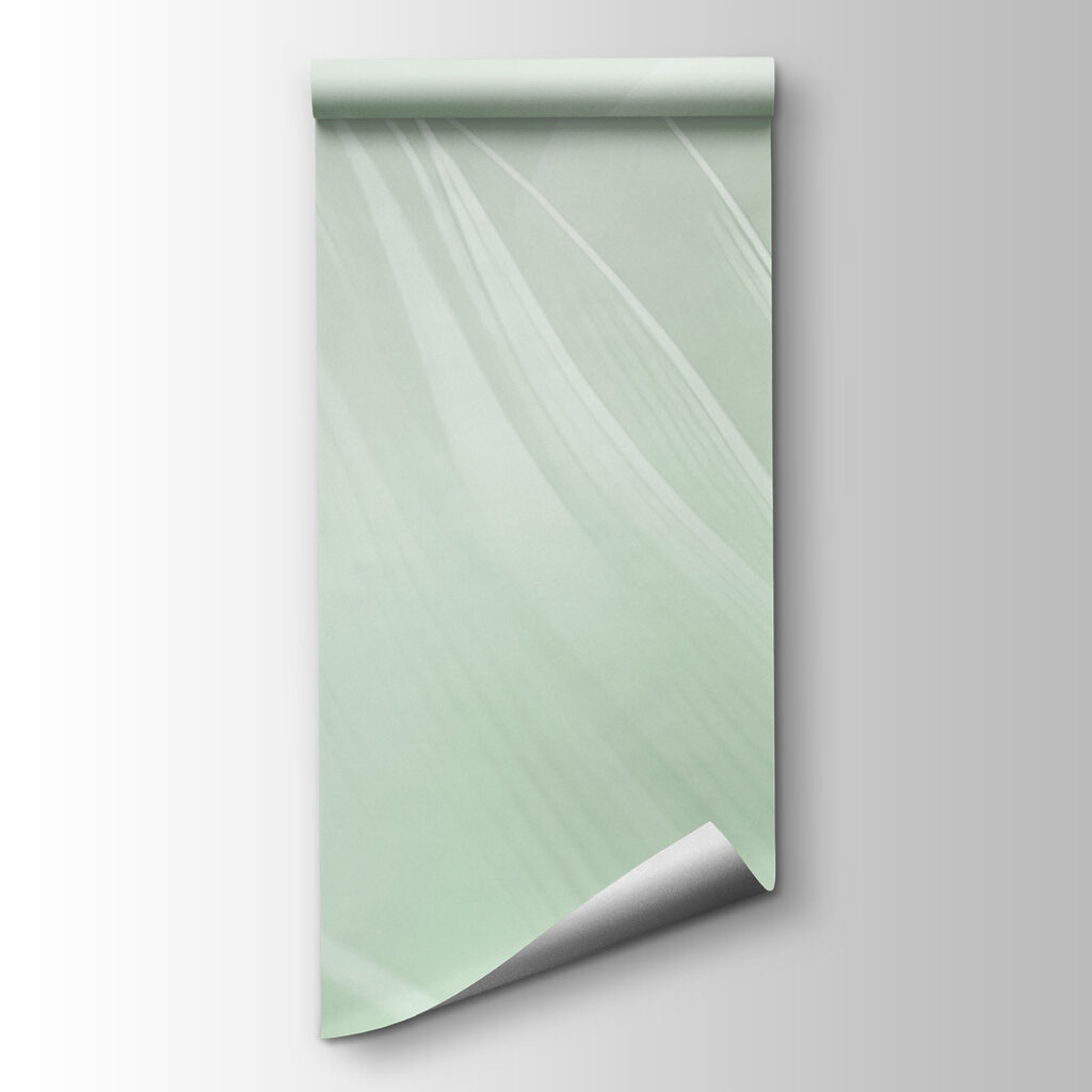 Folhas e penas transparentes — vista do produto