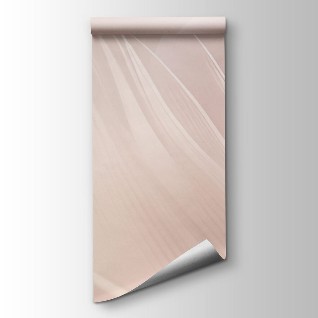 Folhas e penas transparentes — vista do produto