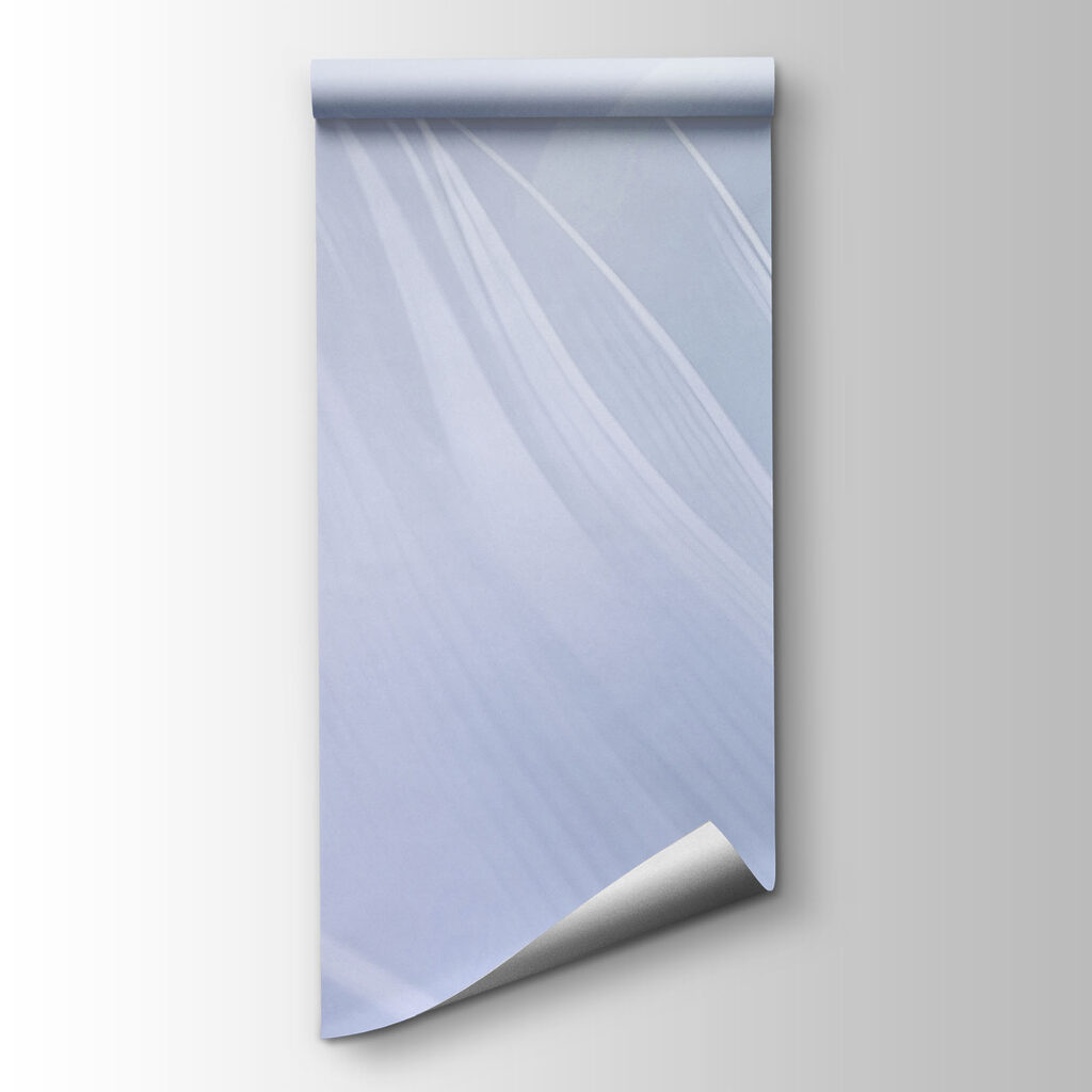 Folhas e penas transparentes — vista do produto