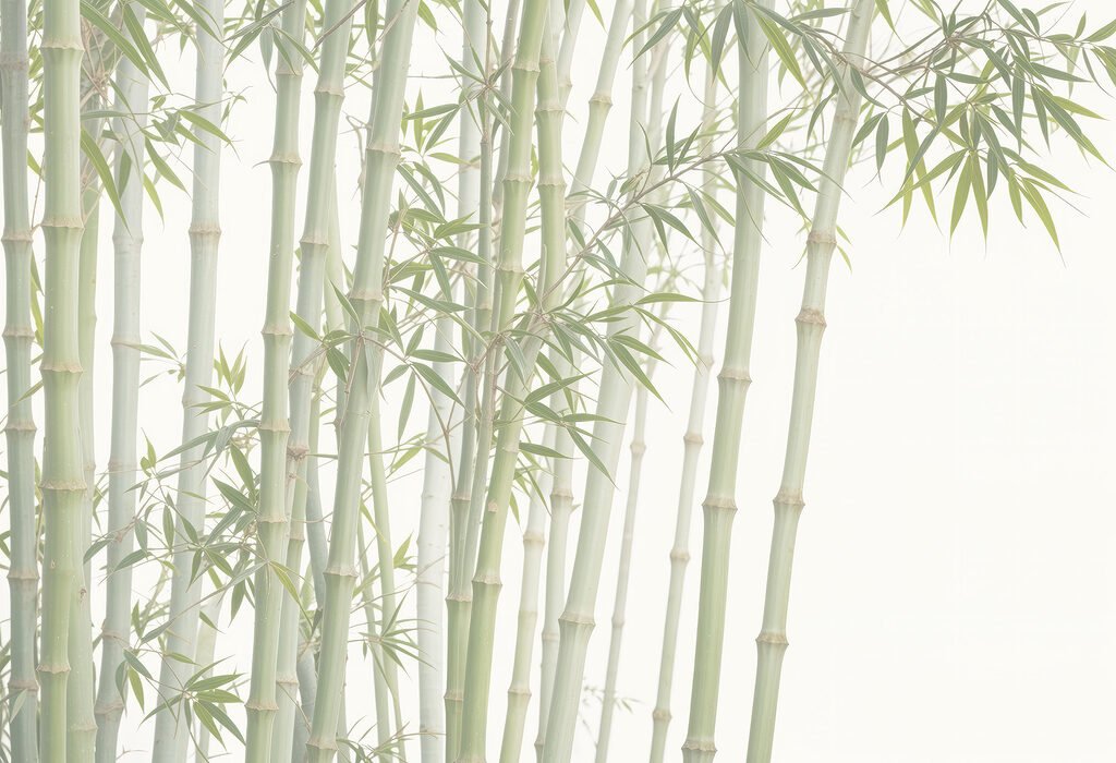 Bambu em linhas verde-claras — design completo