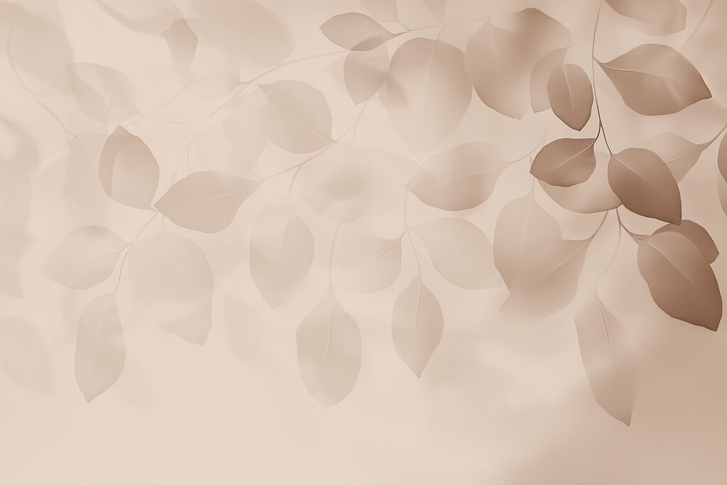 Folhas em véus claros — design completo