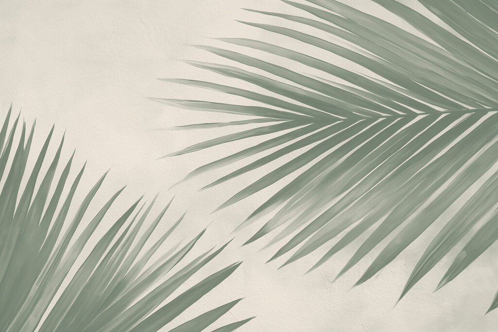 Duas folhas de palmeira — design completo