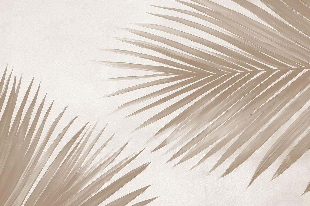 Duas folhas de palmeira — design completo
