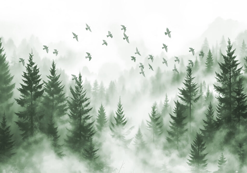 Aves sobre pinhal nevoento — design completo